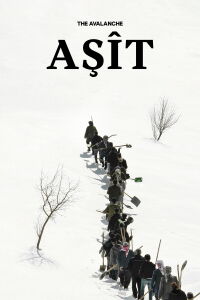 The Avalanche (2023)
