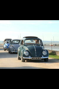 The Beetle, A Timeless Car (2019)