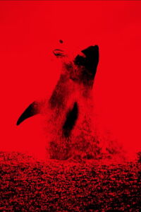 The Black Demon (2023)