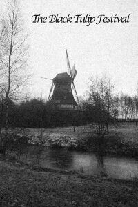 The Black Tulip Festival (1920)