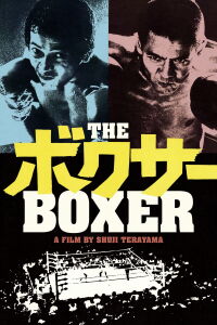 The Boxer (1977)