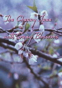 The Cherry Tree with Gray Blossoms (1977)