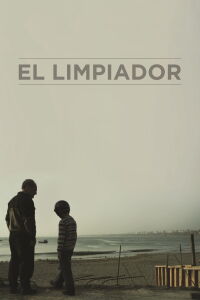 The Cleaner (2013)