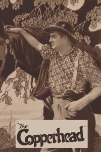 The Copperhead (1920)