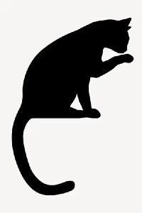 The Crooked Taled Cat (2015)