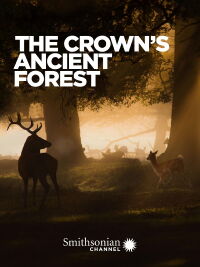 The Crown's Ancient Forest (2021)