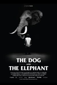 The Dog and the Elephant (2017)