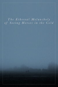 The Ethereal Melancholy of Seeing Horses in the Cold (2012)
