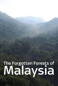 The Forgotten Forests of Malaysia (2018)