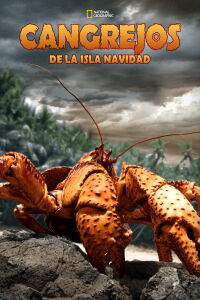 The Giant Robber Crab (2019)