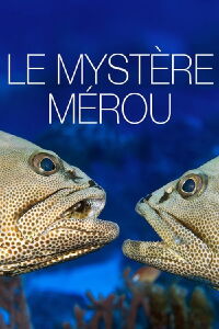 The Grouper Mystery (2015)