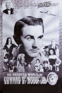 The Haunted World of Edward D. Wood, Jr. (1996)
