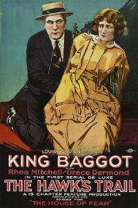 The Hawk's Trail (1919)