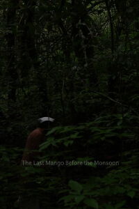 The Last Mango Before the Monsoon (2015)