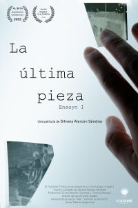 The Last Piece: Essay I (2022)