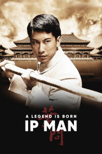 The Legend Is Born: Ip Man (2010)