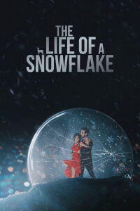 The Life of a Snowflake (2022)