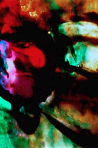 The Lion and the Zebra Make God's Raw Jewels (1999)