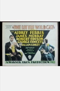 The Little Wildcat (1928)