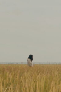 The Lost Piece (2018)