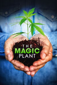 The Magic Plant (2020)
