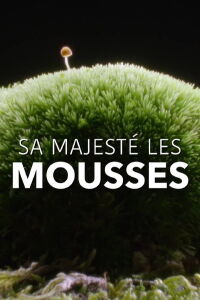 The Magical World of Moss (2023)