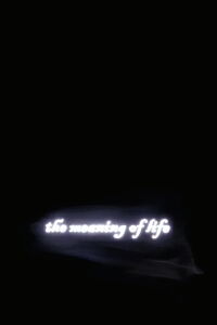 The Meaning of Life (2005)