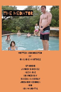The Mediator (2024)