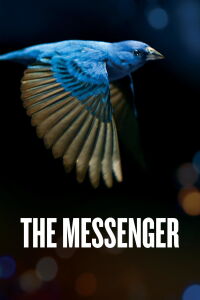 The Messenger (2015)