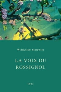 The Nightingale's Voice (1923)
