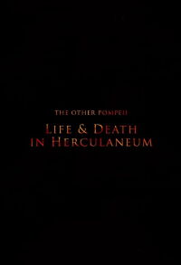 The Other Pompeii: Life & Death in Herculaneum (2013)