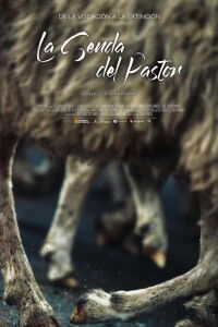 The Path of the Shepherd (2021)