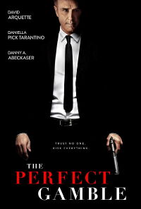 The Perfect Gamble (2025)