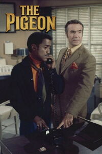 The Pigeon (1969)