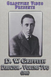 The Politician's Love Story (1909)