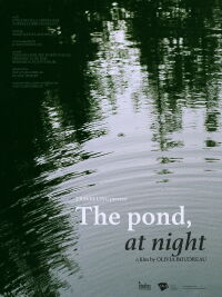 The Pond, at Night (2020)