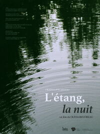 The pond, at night (2020)