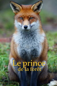 The Prince of the Forest (2024)