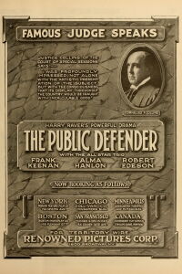 The Public Defender (1917)