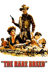 The Rare Breed (1966)