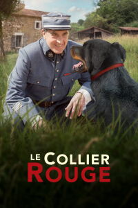 The Red Collar (2018)