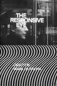 The Responsive Eye (1965)