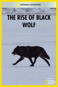 The Rise of Black Wolf (2010)