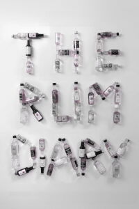 The Rum Diary (2011)