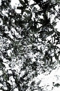 The Seasons (2008)