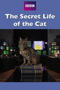 The Secret Life of the Cat (2013)