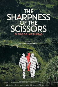 The Sharpness of the Scissors (2023)
