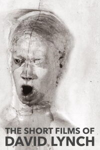 The Short Films of David Lynch (2002)