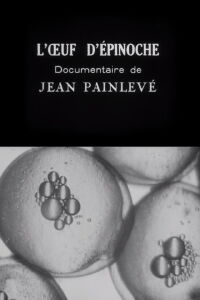 The Stickleback's Eggs (1925)