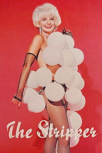 The Stripper (1963)